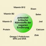 Grafik, 10 potenziell kritische Nährstoffe der veganen Ernährung