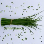 Ein Bund frischer grüner und gesunder Schnittlauch sowie klein geschnittener verzehrfähiger Schnittlauch.