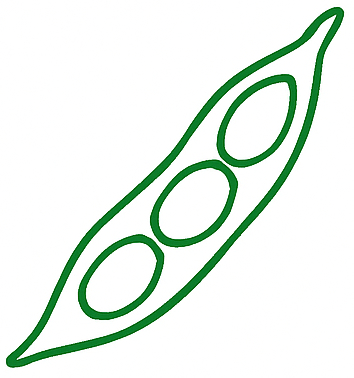 Bohne ist gezeichnet in grüner filigraner Linie. Es ist zentral die Hülse und 3 innenliegende Bohnen, oval. Her Hintergrund und die Füllung ist weiß. Lebensmittel aus dem Saisonkalender September.