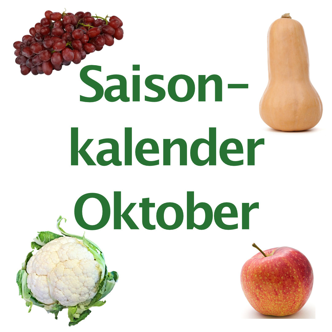"Saisonkalender Oktober" steht mittig, grüne Schrift von "Coaching vegan", weißer Hintergrund, oben rechts in Ecke: eoine Rebe roter Tafeltrauben, linke Ecke; Butternut-Kürbis, unten rechts: roter ganzer Apfel mit Stiel, unten links: Blumenkohl mit Grün. Alle Obst- und Gemüsesorten und Fotos. Lanze und vollwertige Lebensmittel.
