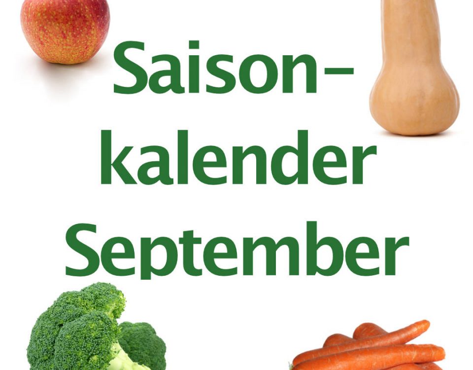 "Saisonkalender September", grüne Schrift, zentral auf weißem Hintergrund, deutliche Buchstaben, klar und professionell, roter Apfel mit Stiel als Foto oben in linker Ecke, Butternut-Kürbis als Foto, beige Kürbisschale, Kürbis ist in rechter oberer Ecke. grüner Brokkoli ist unten links als Foto. Der Kohl liegt. Orange Karotten liegen unten rechts in der Ecke auf einem Haufen. Das Foto zeigt regionales Gemüse und Obst als Foto.
