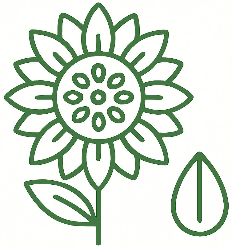 grüne Konturen, Sonnenblume als Pflanze in Bildmitte, rechts ist ein Sonnenblumenkern. weißer Hintergrund und Füllung der Blume und des Kerns, ein Lebensmittel aus dem Saisonkalender September.